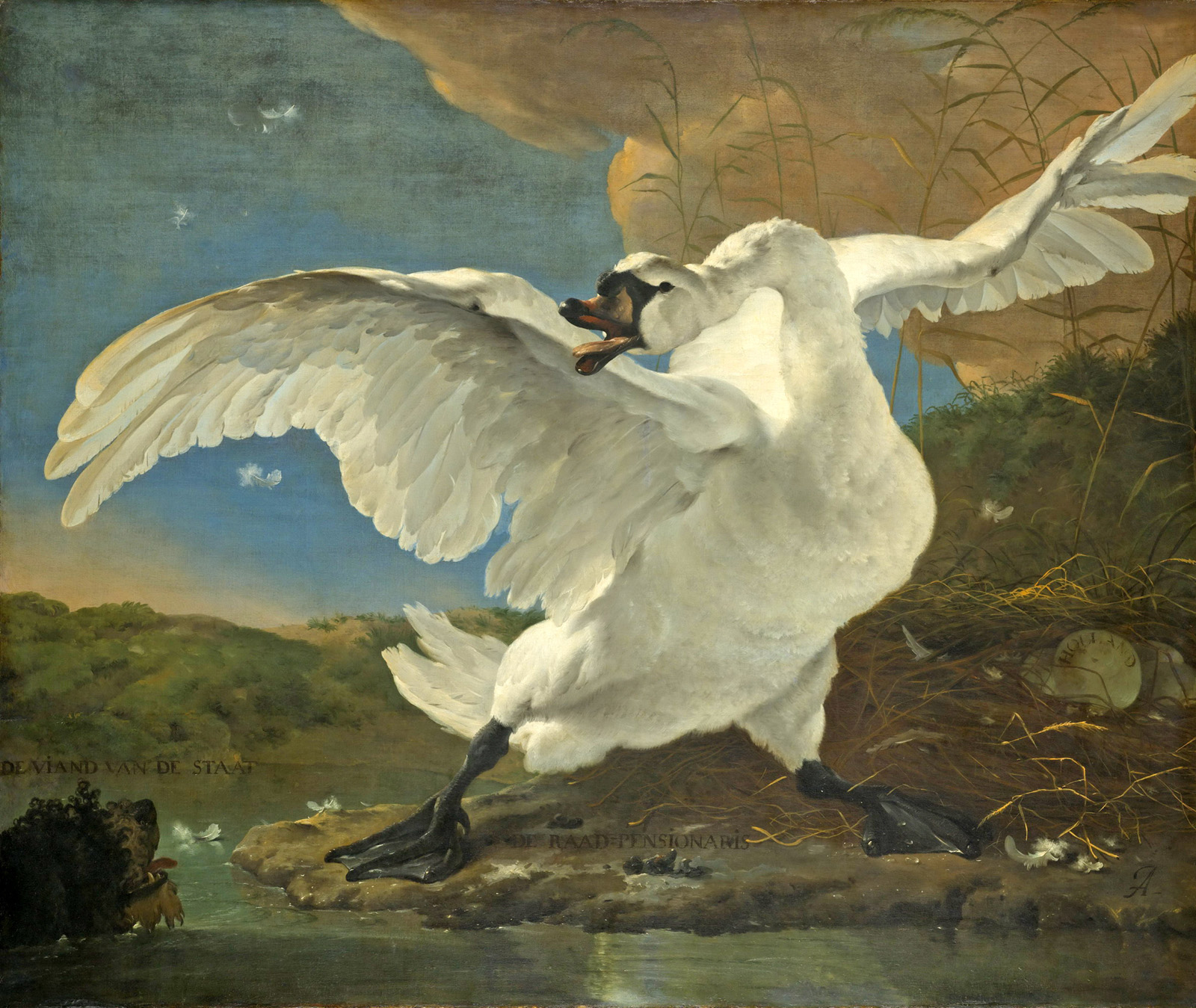 the threatened swan